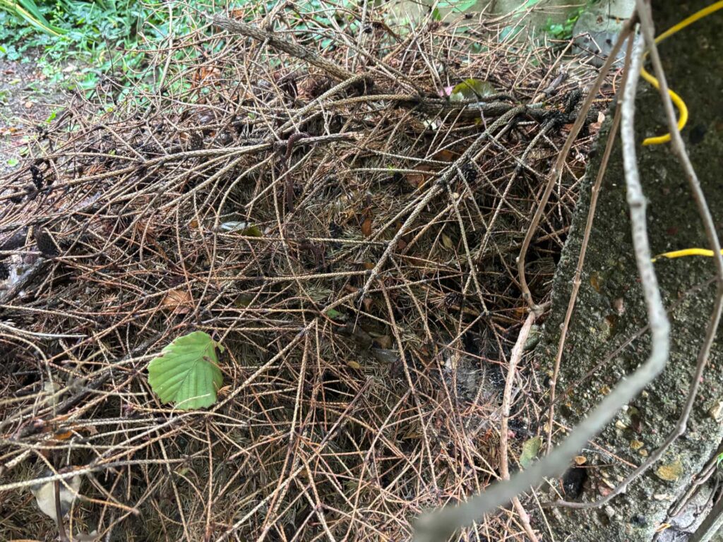 Suche gałęzie i liście biodpady